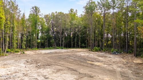 lot-3-0 Us Hwy 117 N, Willard, NC, 28478 | Card Image