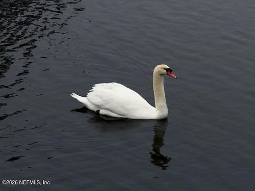 26 Fox Valley Dr, Orange Park, FL, 32073-5137 | Card Image