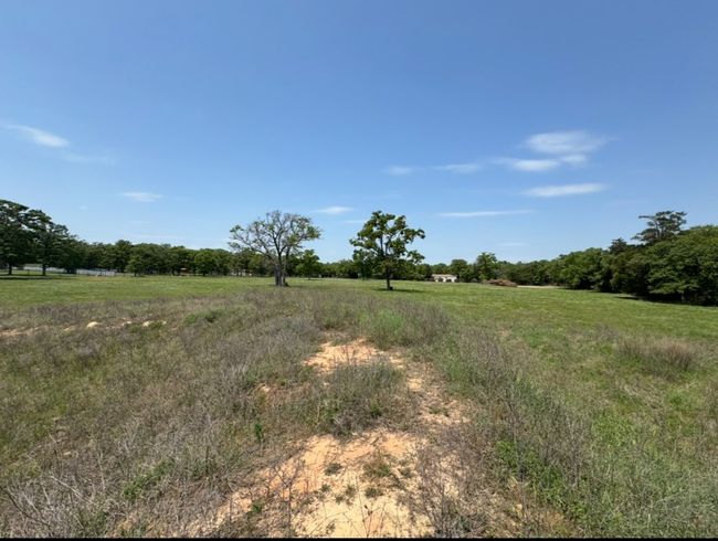 View of nature with a rural view | Image 17