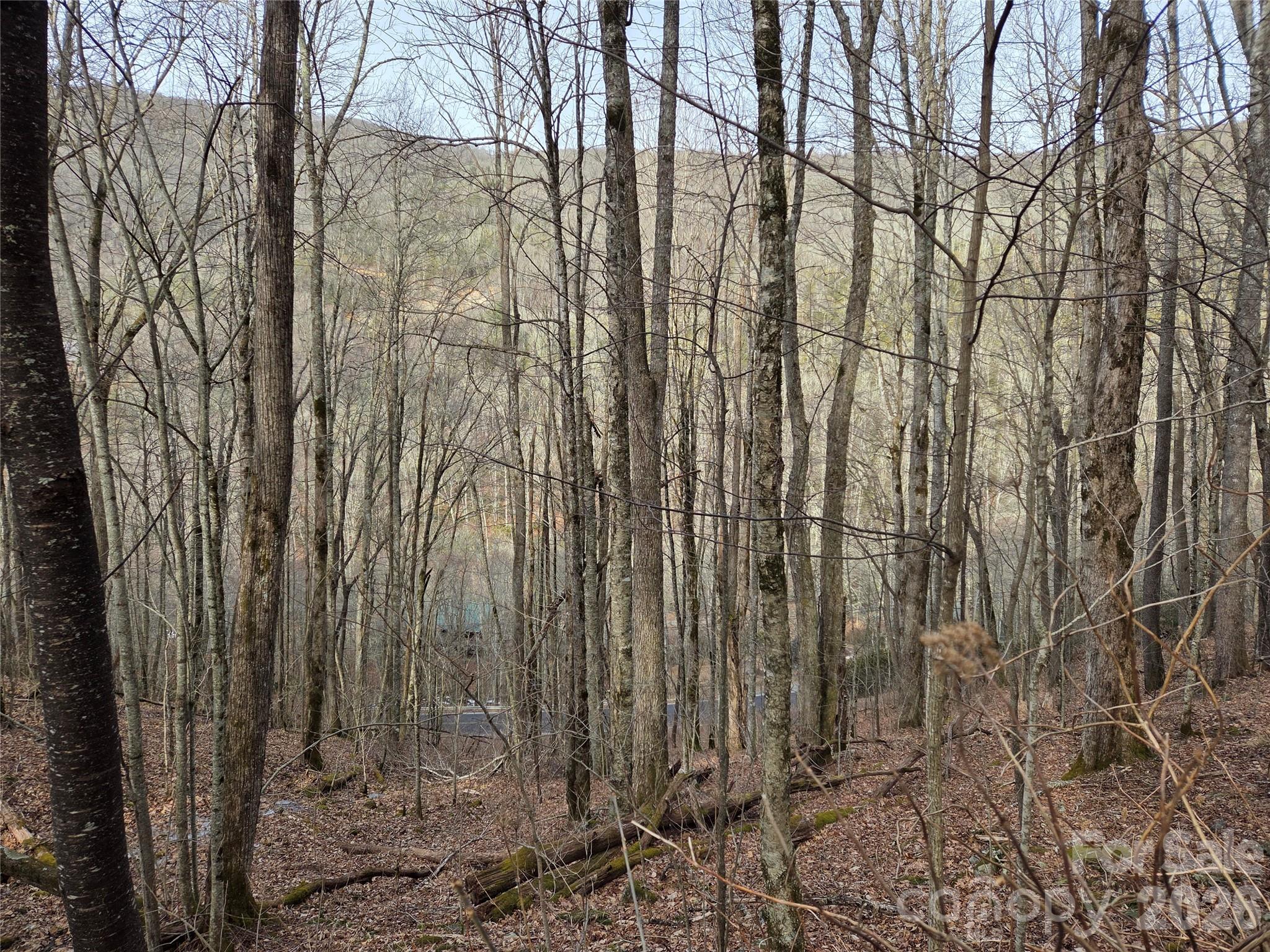 Land in Maggie Valley 5