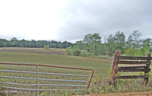 00 Express Rd, Grand Ridge, FL, 32442 | Card Image