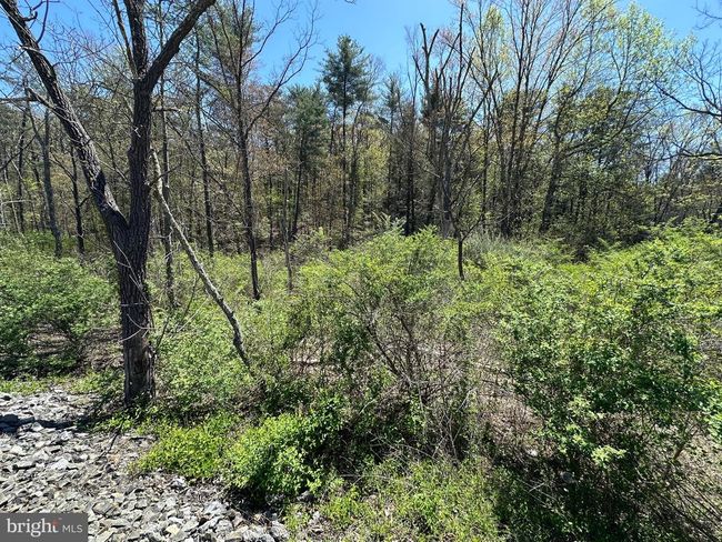 0 New Bloomfield Rd, Home with 0 bedrooms, 0 bathrooms and null parking in NEW BLOOMFIELD PA | Image 29