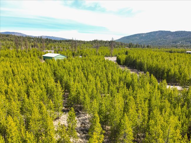 135 Wright Way, Home with 0 bedrooms, 0 bathrooms and null parking in Marion MT | Image 15