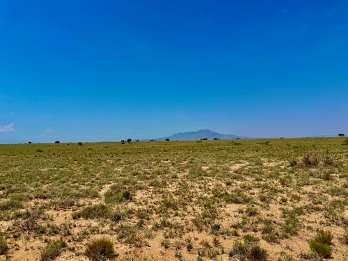 Lot 22 Westbelengrantextboundaries, Bosque, NM, 87006 | Card Image