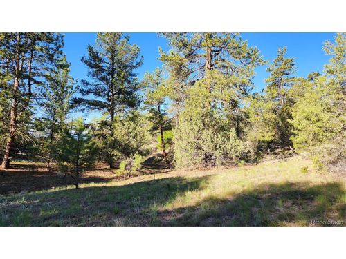 110 Dead Log Ln, Cotopaxi, CO, 81223 | Card Image