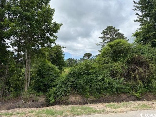 9 Rabon Rd., Home with 0 bedrooms, 0 bathrooms and null parking in Aynor SC | Image 12