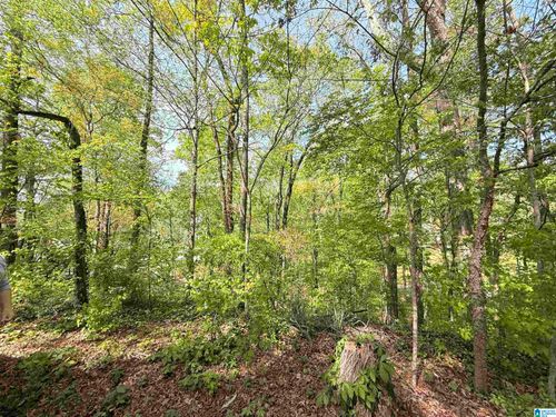 4-4 Dogwood Ct, Athens, AL, 35613 | Card Image