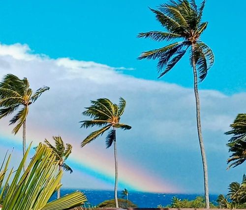 apt-i16-120 Hui Rd F, Lahaina, HI, 96761-9134 | Card Image