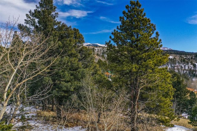 1230 May Queen Dr, Home with 0 bedrooms, 0 bathrooms and null parking in Cripple Creek CO | Image 28