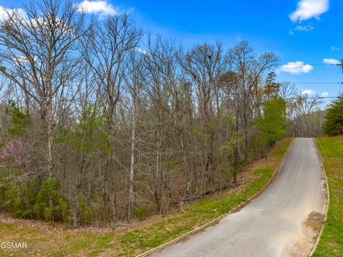 Lot 107 Turtle Dove Trail, Dandridge, TN, 37725 | Card Image