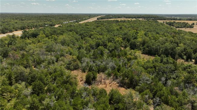 Aerial view of a heavily wooded area | Image 6