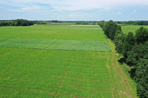TBD 115th Ave, Eagle Bend, MN, 56446 | Card Image