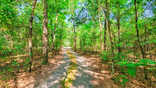 328 Sandy Springs Cir, Walterboro, SC, 29488-9486 | Card Image