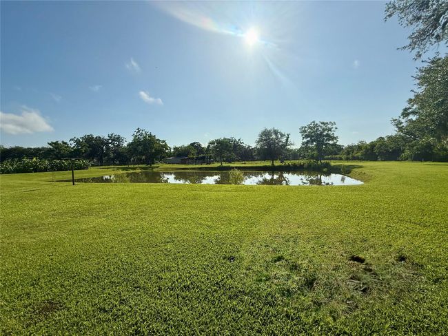 pond | Image 45