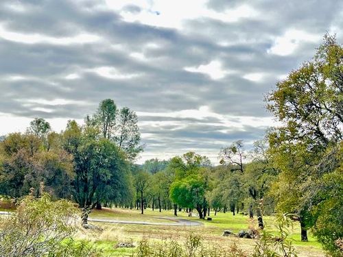 5037 Morgan Rd, Angels Camp, CA, 95222-9839 | Card Image