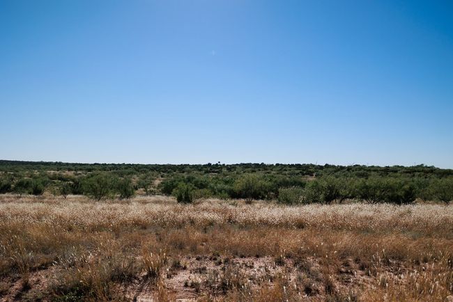 0000 Camp Springs Rd, Home with 0 bedrooms, 0 bathrooms and null parking in Snyder TX | Image 21