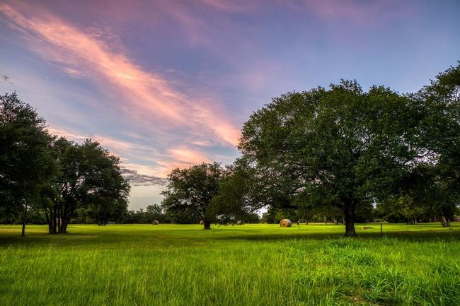 1585 Round Top Rd, Home with 6 bedrooms, 7 bathrooms and null parking in Round Top TX | Image 36