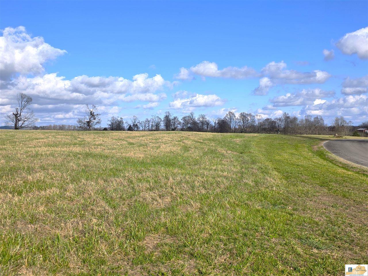 Land in Russell Springs