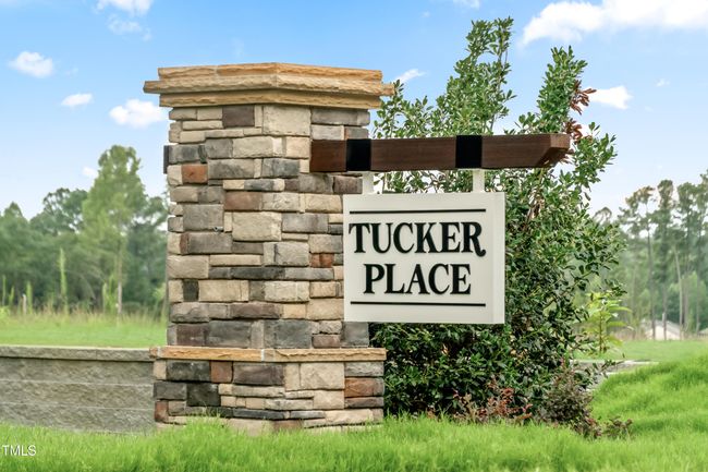 Tucker Place Entry Monument | Image 15