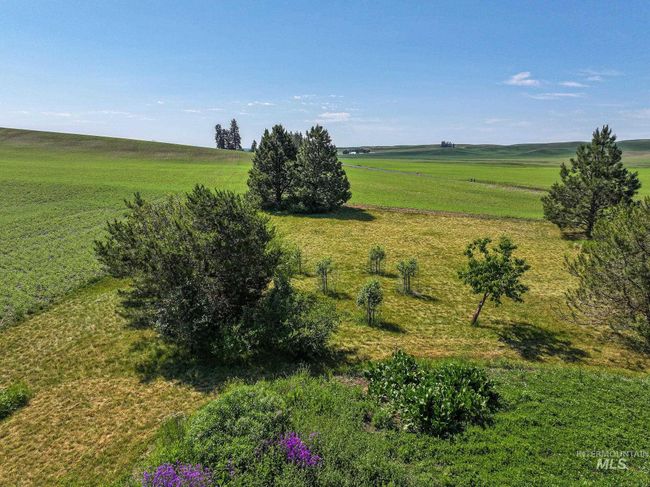 1860 Old Highway 95, House other with 4 bedrooms, 2 bathrooms and 2 parking in Genesee ID | Image 39