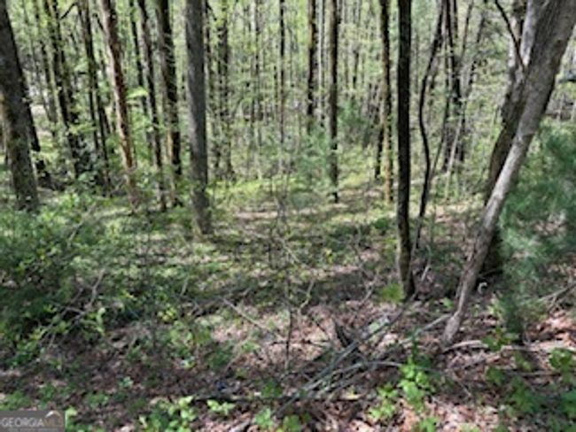 0 Bald Mountain Rd, Home with 0 bedrooms, 0 bathrooms and null parking in Dillard GA | Image 5