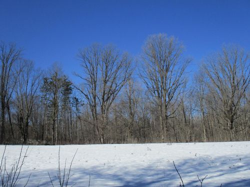 XXXX 7 1/4 - 8th Ave, HILLSDALE, WI, 54733 | Card Image