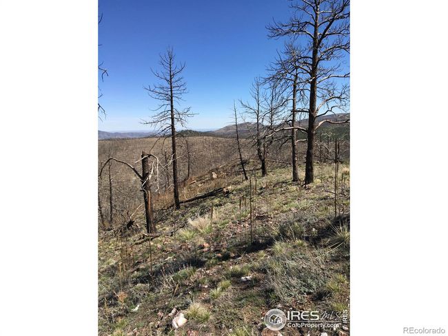 3600 Moondance Way, Home with 0 bedrooms, 0 bathrooms and null parking in Bellvue CO | Image 19