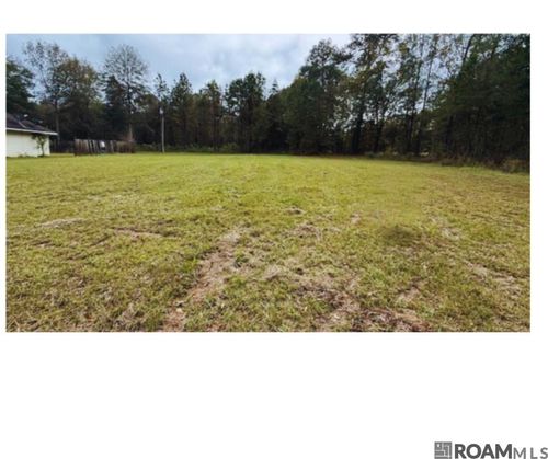 TBD Felix Lee Rd, Ethel, LA, 70730 | Card Image