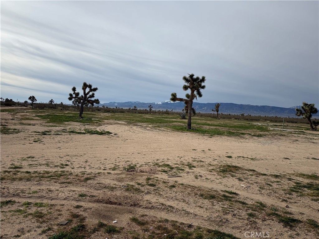 Land in Phelan 4