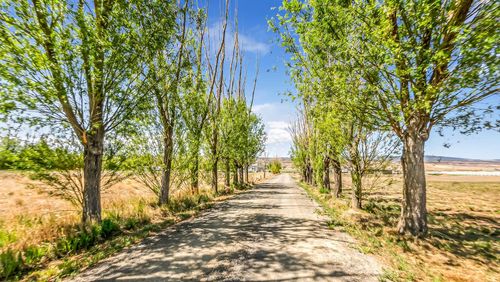 4521 Old Kannah Creek Rd, Whitewater, CO, 81527-9503 | Card Image