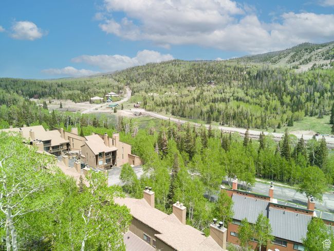 Aerial view of property and surrounding area with a forest | Image 27