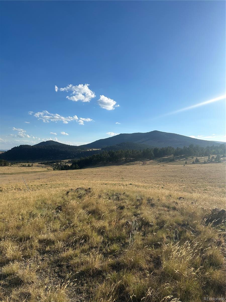 Land in Florissant 2