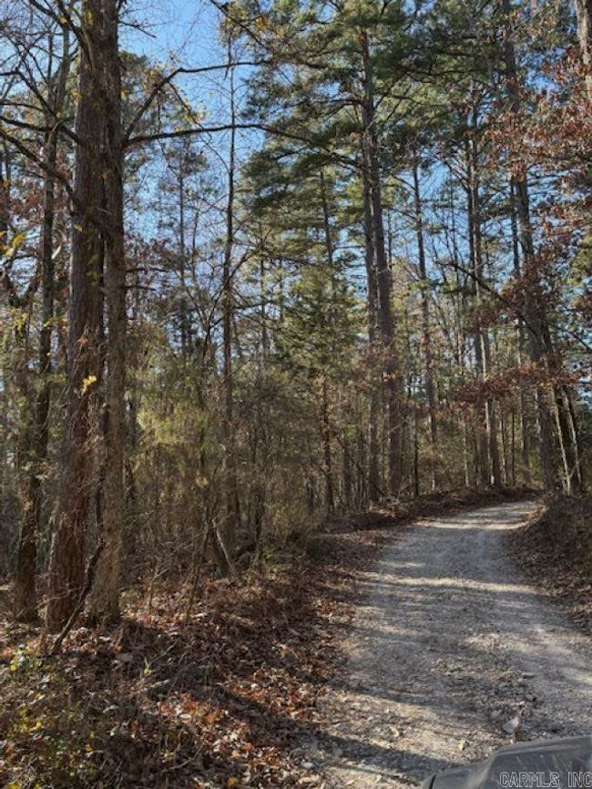 552 Little Creek Ln, House other with 1 bedrooms, 1 bathrooms and null parking in Pineville AR | Image 12