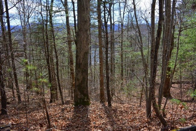 00 Chestnut Rdg, Home with 0 bedrooms, 0 bathrooms and null parking in Robbinsville NC | Image 6