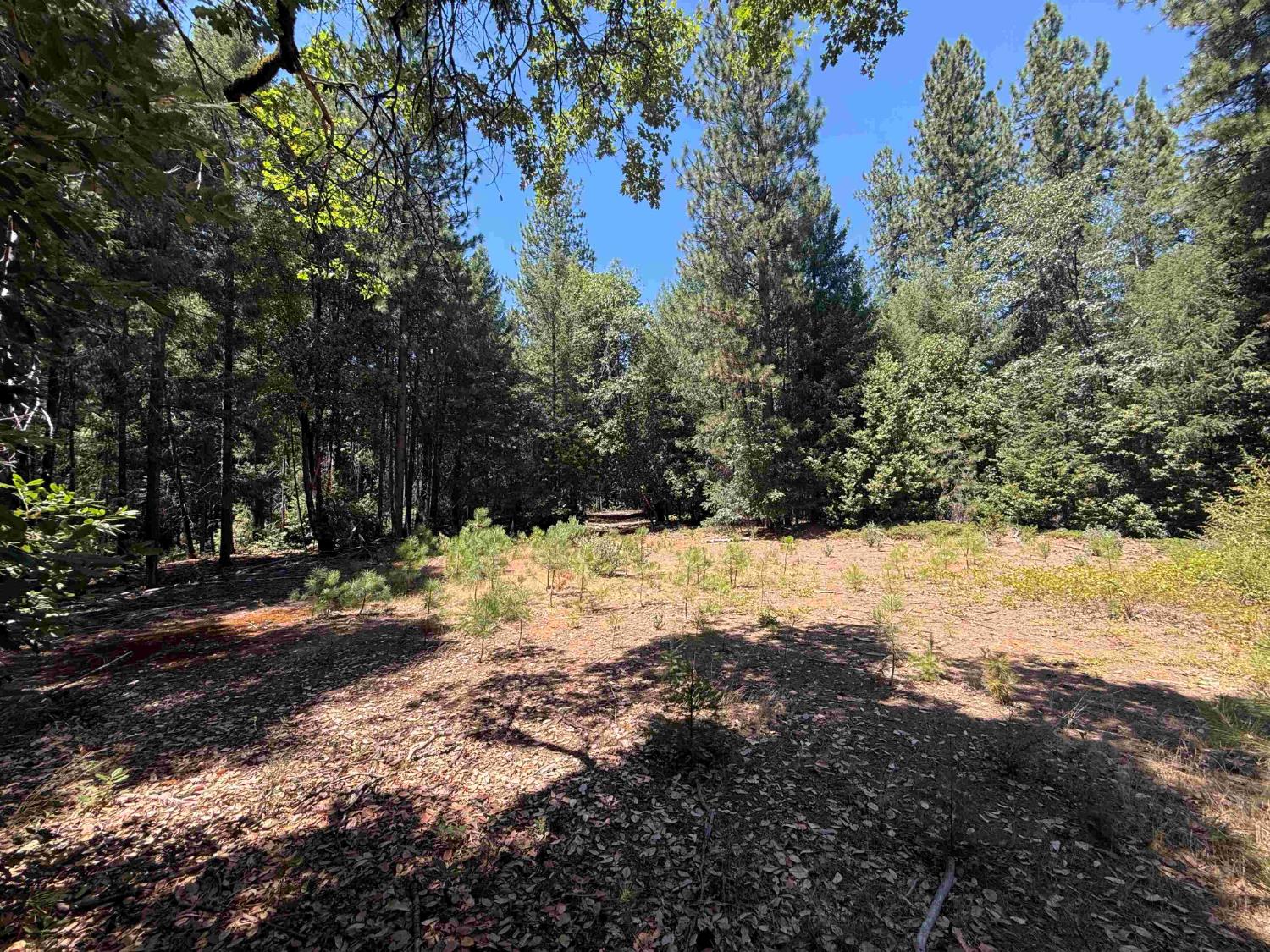 Land in Nevada City 2