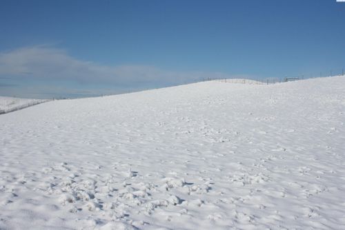 1283 Kitzmiller Rd, Pullman, WA, 99163-6023 | Card Image