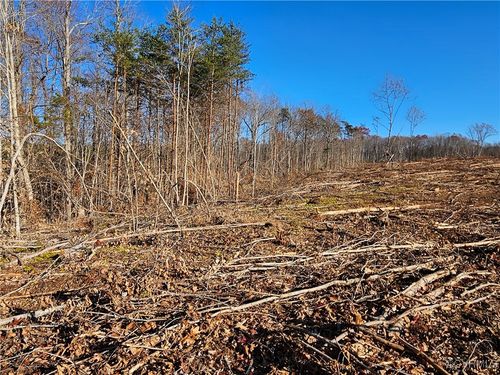 TBD Shelton Store Rd, WINGINA, VA, 24599 | Card Image