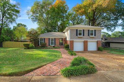 249 Pandora St, House other with 3 bedrooms, 2 bathrooms and null parking in Memphis TN | Image 2