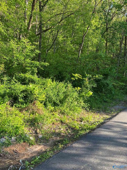 3711 Wilborn Ave Ne, Fort Payne, AL, 35967-3913 | Card Image