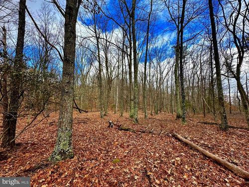 Lot 30 &amp; 31 Boonedock Road, UPPER TRACT, WV, 26866 | Card Image