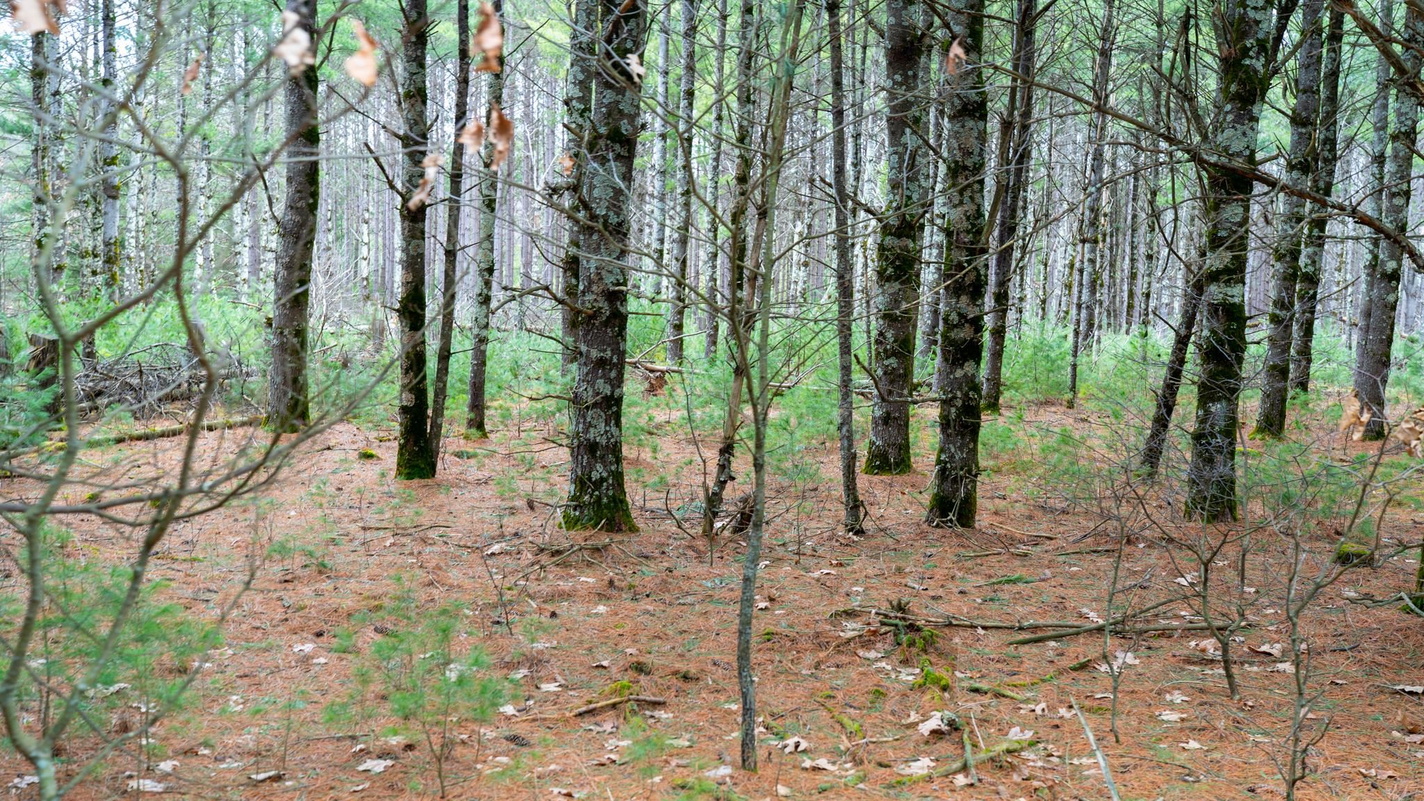 Land in Adams 5