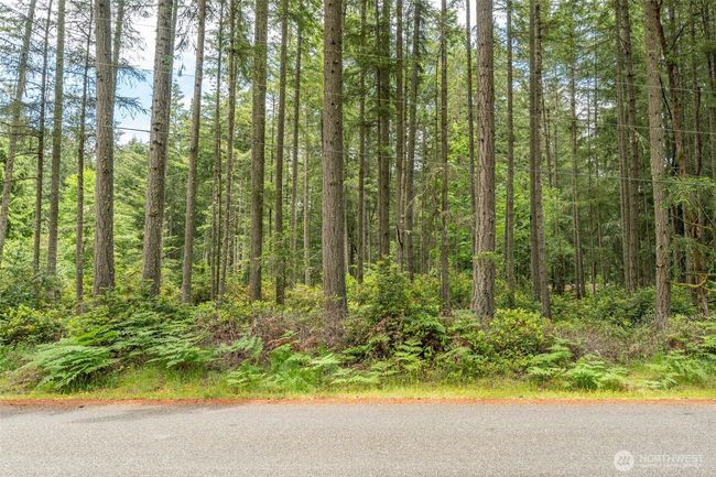 10409 Tahoma Dr, Home with 0 bedrooms, 0 bathrooms and null parking in Anderson Island WA | Image 6