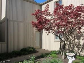 Jackie Ln, Westlake, OH 44145
