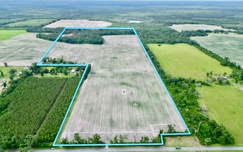 123 Sw County Road 534, Mayo, FL, 32066-3958 | Card Image