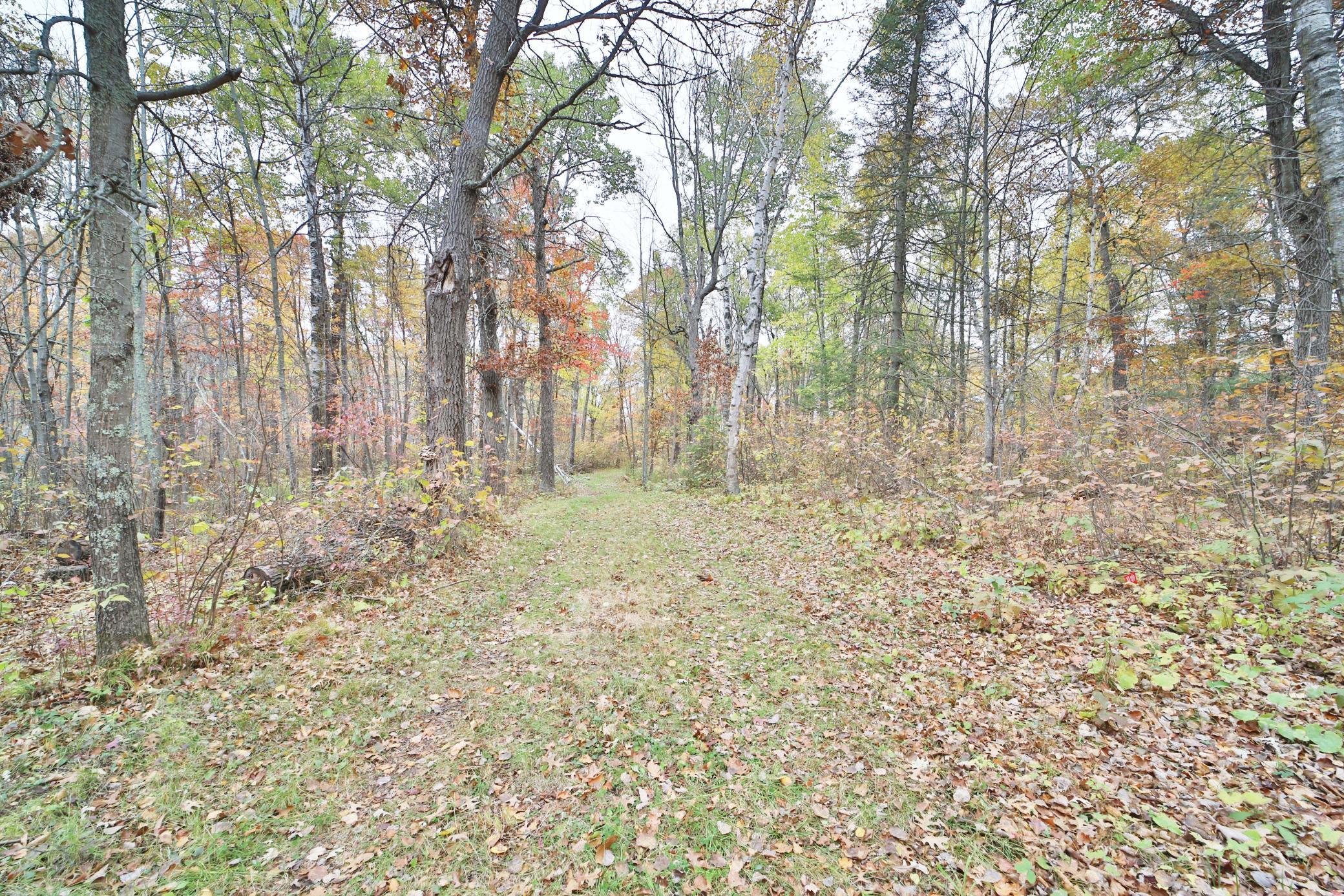 Land in Pine River 4