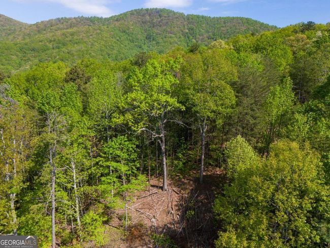 LOT 73 Mountain View Road, Home with 0 bedrooms, 0 bathrooms and null parking in Ellijay GA | Image 10