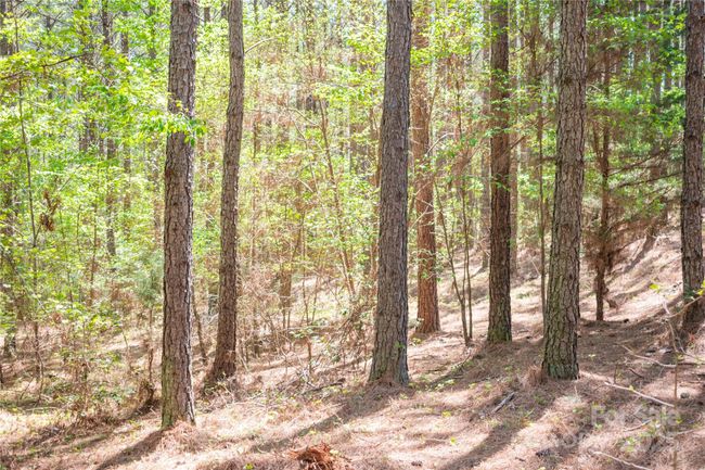 69 - 144 Whispering Pines Ln, Home with 0 bedrooms, 0 bathrooms and null parking in Mooresboro NC | Image 10