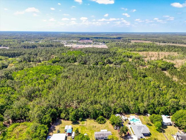 0 Carter Rd, Home with 0 bedrooms, 0 bathrooms and null parking in Saint Augustine FL | Image 5