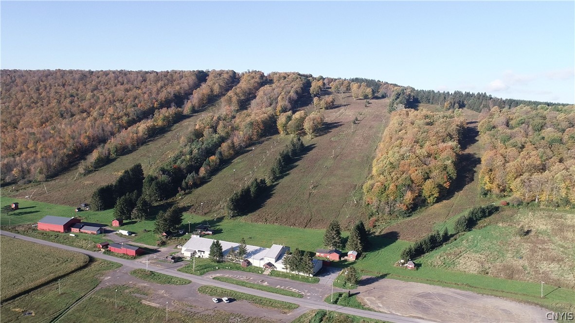 1135 Toggenburg Rd, Fabius, NY 13063