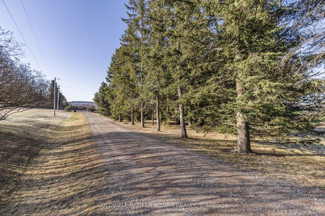 6218 5 Th Line, House other with 4 bedrooms, 3 bathrooms and 4 parking in New Tecumseth ON | Image 37